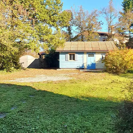 Karsolina * Štanjel